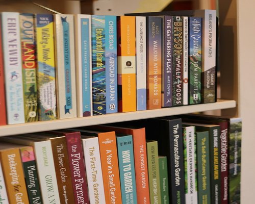 A well-organized shelf with classical novels and educational textbooks sorted by topic